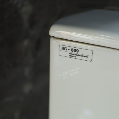 05 Bệt liền khối - HNB CAPILA HG-609